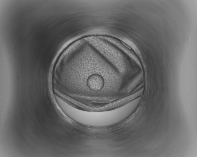 X0000111131392200907141202
