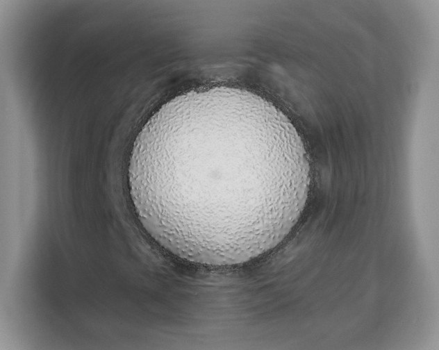 X0000111131393200907141201