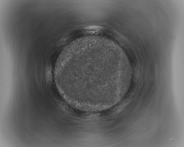 X0000111131394200907141201