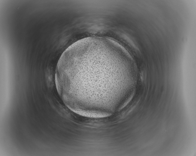 X0000111131396200907141201