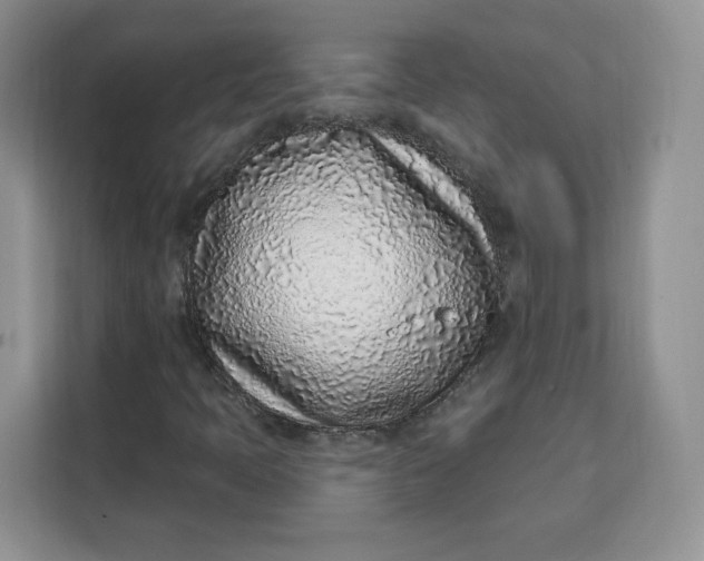 X0000111131397200907141201