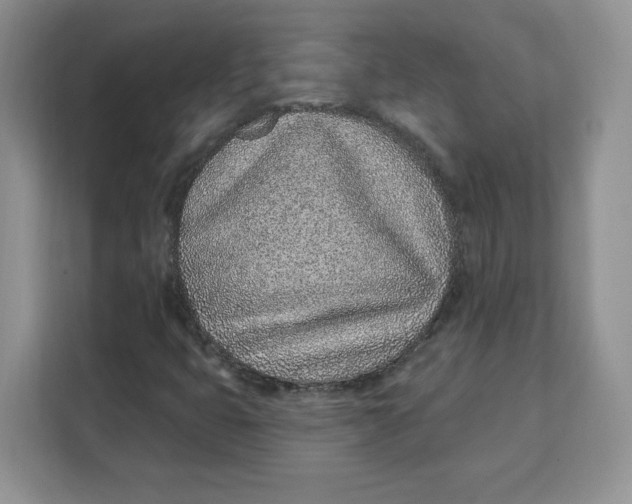 X0000111131399200907141201