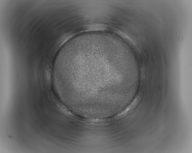 X0000111131401200907141201