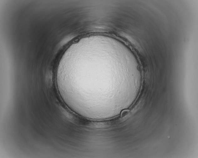 X0000111131402200907141201