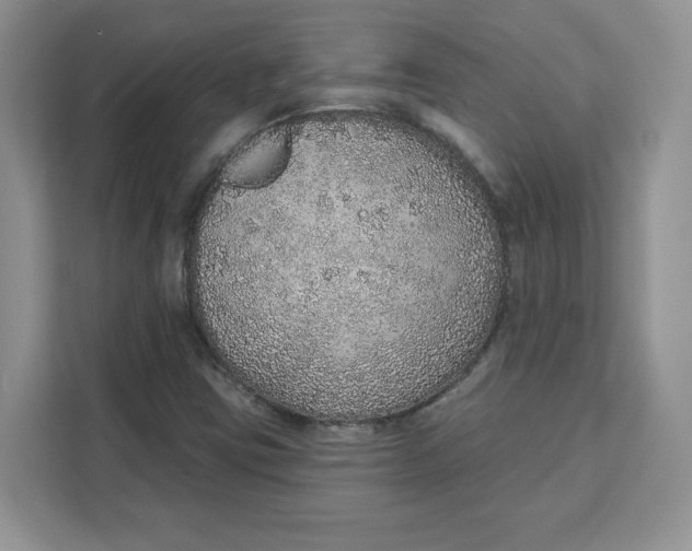 X0000111131403200907141201
