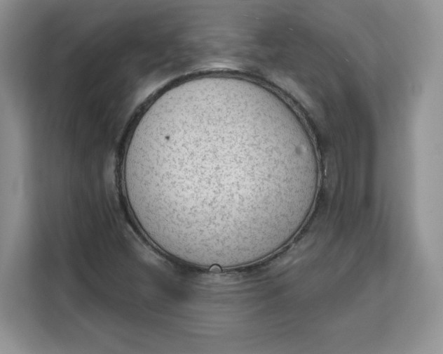 X0000111131404200907141201