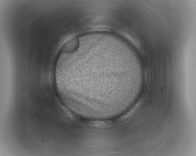 X0000111131405200907141201