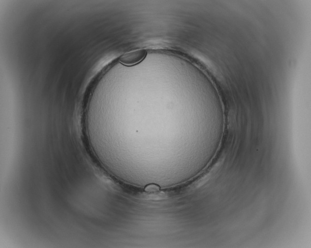 X0000111131410200907141202
