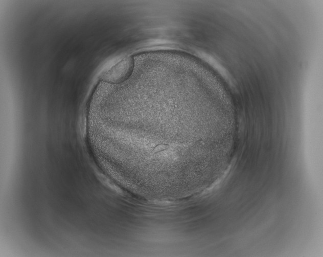 X0000111131413200907141202