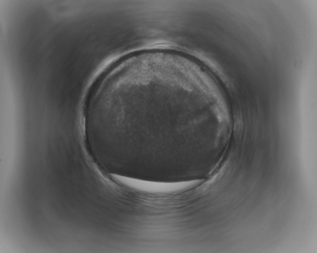 X0000111131414200907141202