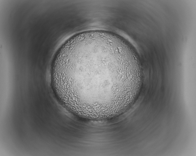 X0000111131415200907141202