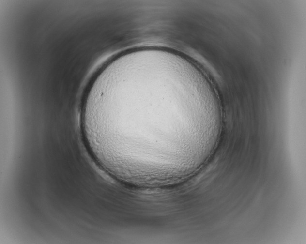 X0000111131416200907141202