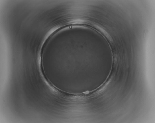 X0000111131418200907141202