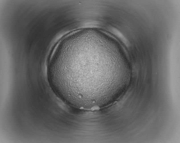 X0000111131419200907141202