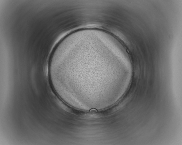 X0000111131420200907141202