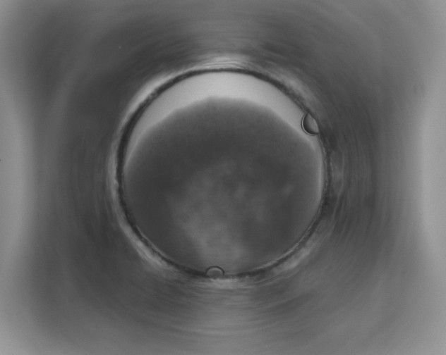 X0000111131422200907141202