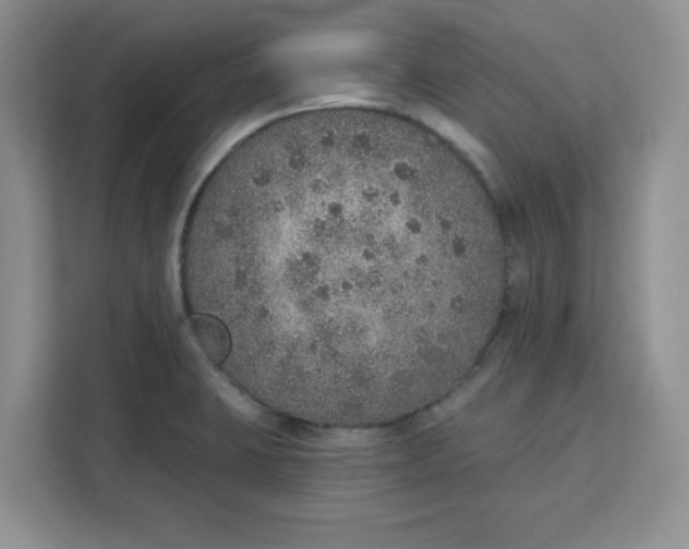 X0000111131423200907141202