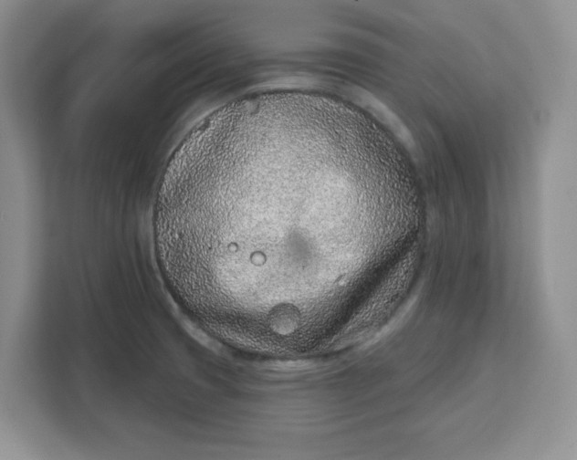X0000111131425200907141202