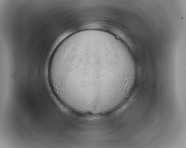 X0000111131426200907141202