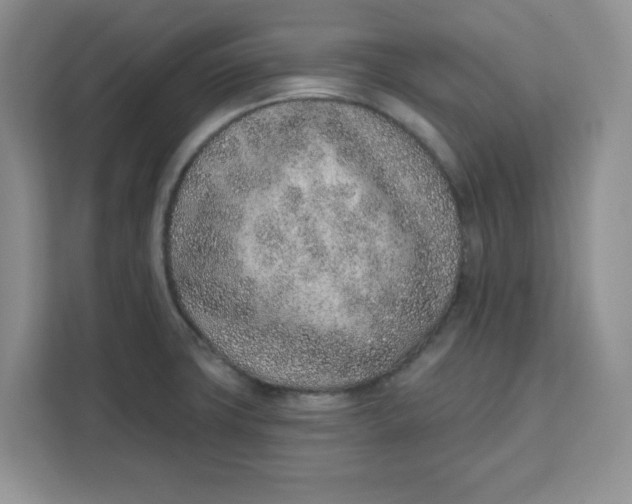 X0000111131427200907141202