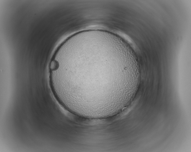 X0000111131430200907141202