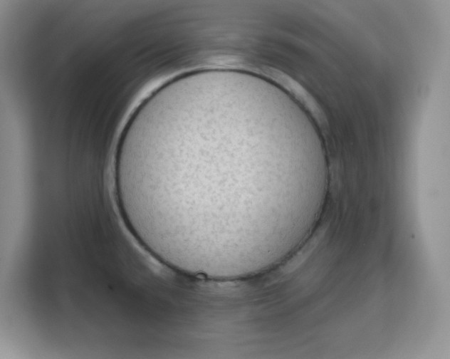 X0000111131432200907141202