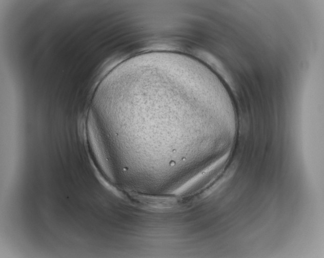 X0000111131433200907141202