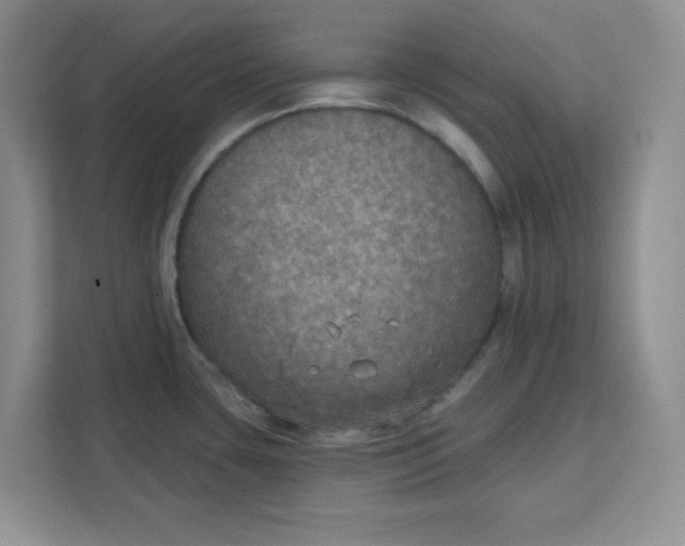 X0000111131435200907141202