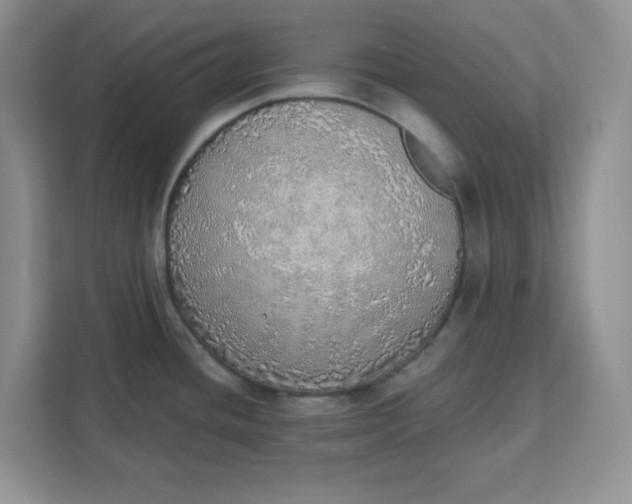X0000111131436200907141202