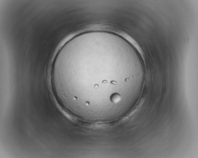 X0000111131437200907141202