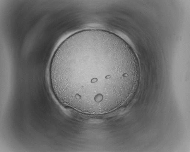 X0000111131440200907141202