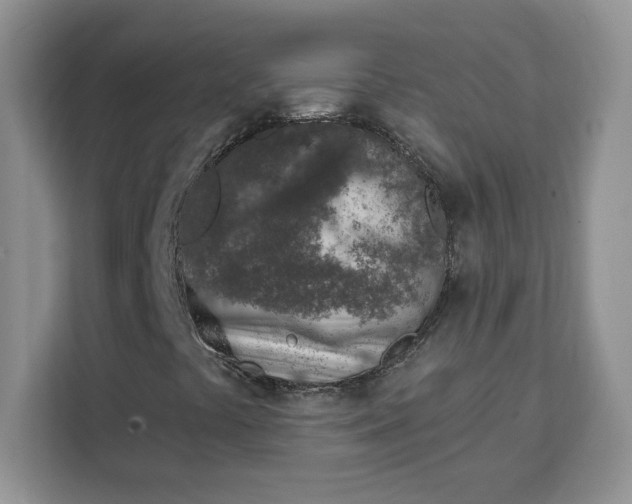 X0000111131441200907141201