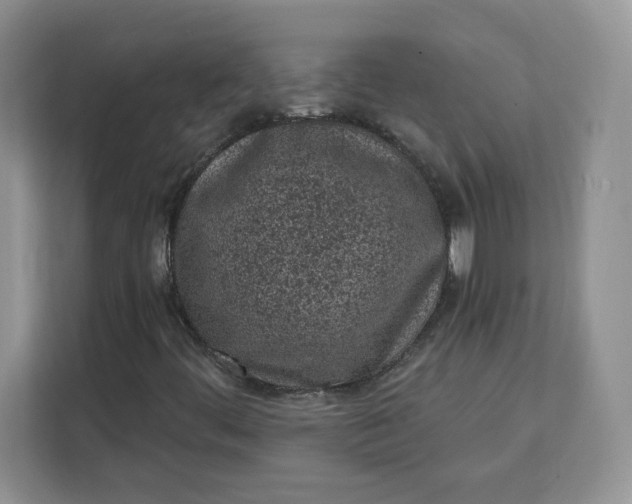 X0000111131444200907141201