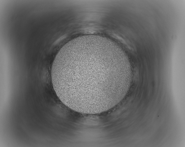 X0000111131446200907141201
