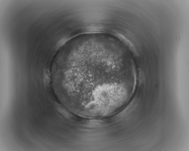 X0000111131449200907141201