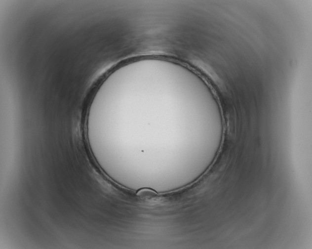 X0000111131452200907141201
