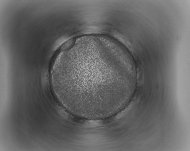X0000111131453200907141201