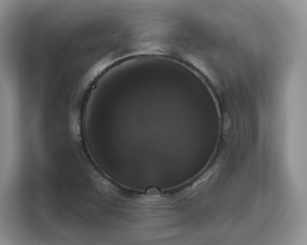 X0000111131455200907141201