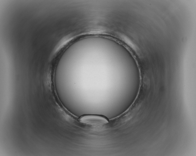 X0000111131456200907141201
