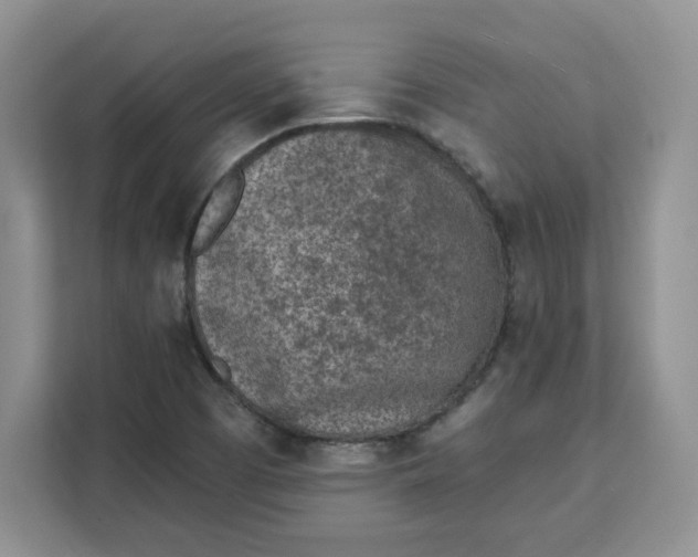 X0000111131457200907141201