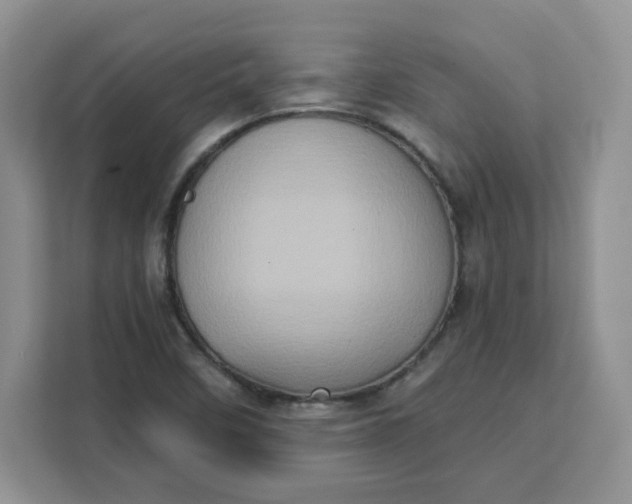 X0000111131458200907141201