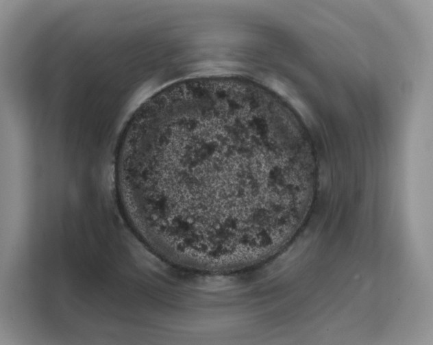 X0000111131459200907141201