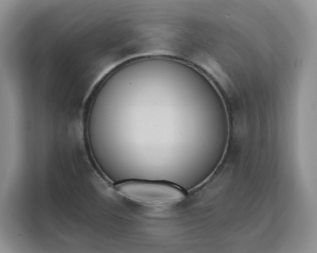 X0000111131460200907141201