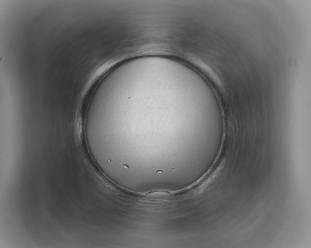 X0000111131461200907141201