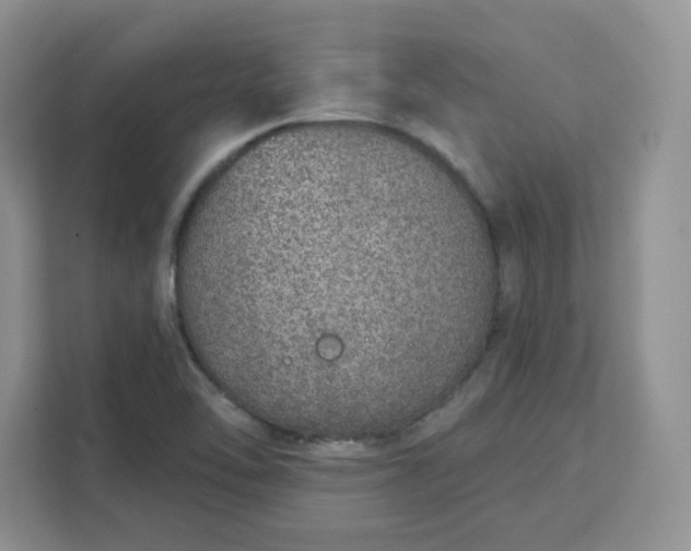 X0000111131462200907141201