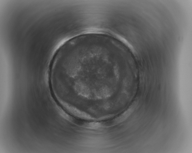 X0000111131463200907141201