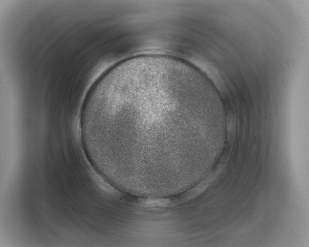 X0000111131466200907141201