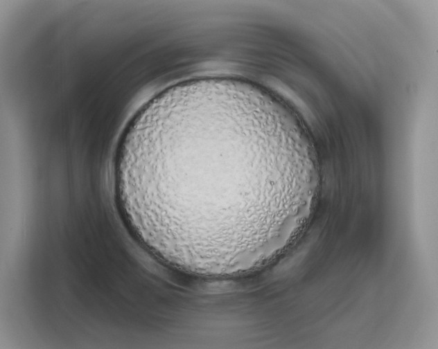 X0000111131467200907141201