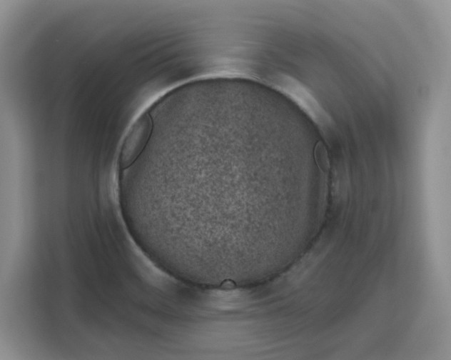 X0000111131468200907141201