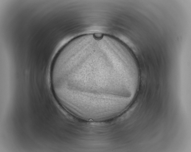 X0000111131469200907141201